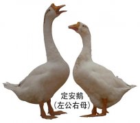 [field:title/]